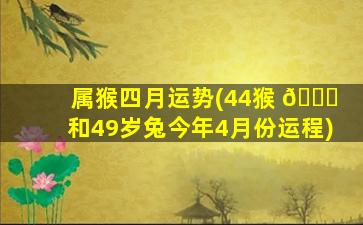 属猴四月运势(44猴 🐞 和49岁兔今年4月份运程)